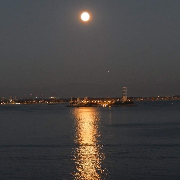 Meet your Posher, Cindy - Picture 1 of 1